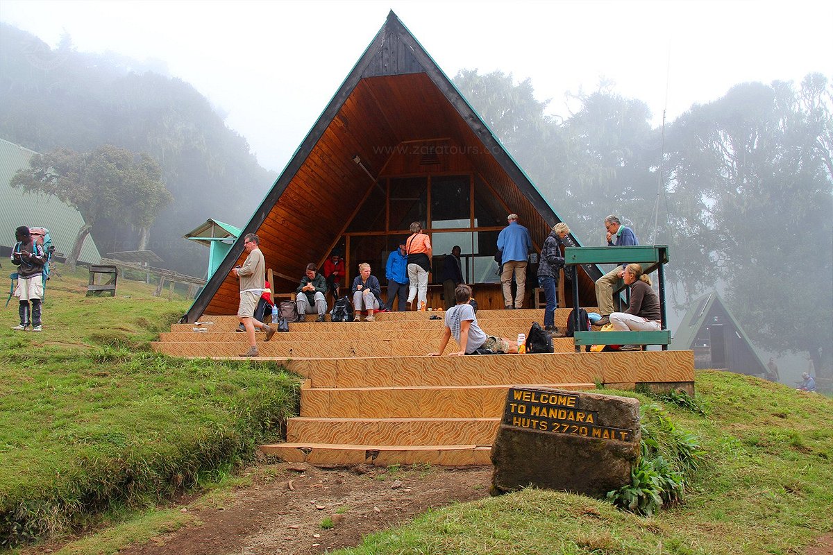 Day 2 - Marangu Gate (1860m) – Mandara hut (2715m)