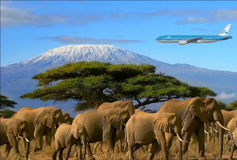 Day 1: Arrival in Moshi