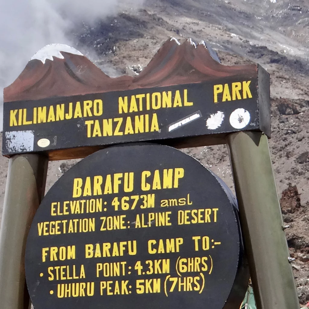 Day 6: Karanga Camp to Barafu Camp