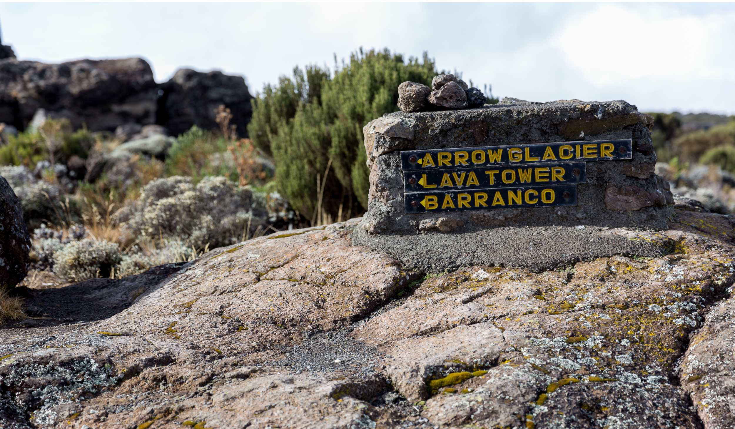 Day 4: Shira Camp to Barranco Camp via Lava Tower