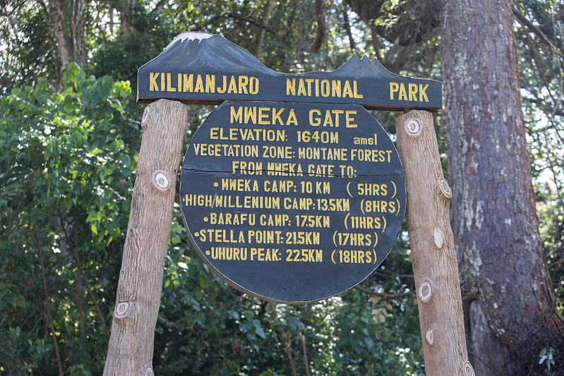 Day 8: Mweka Camp to Mweka Gate