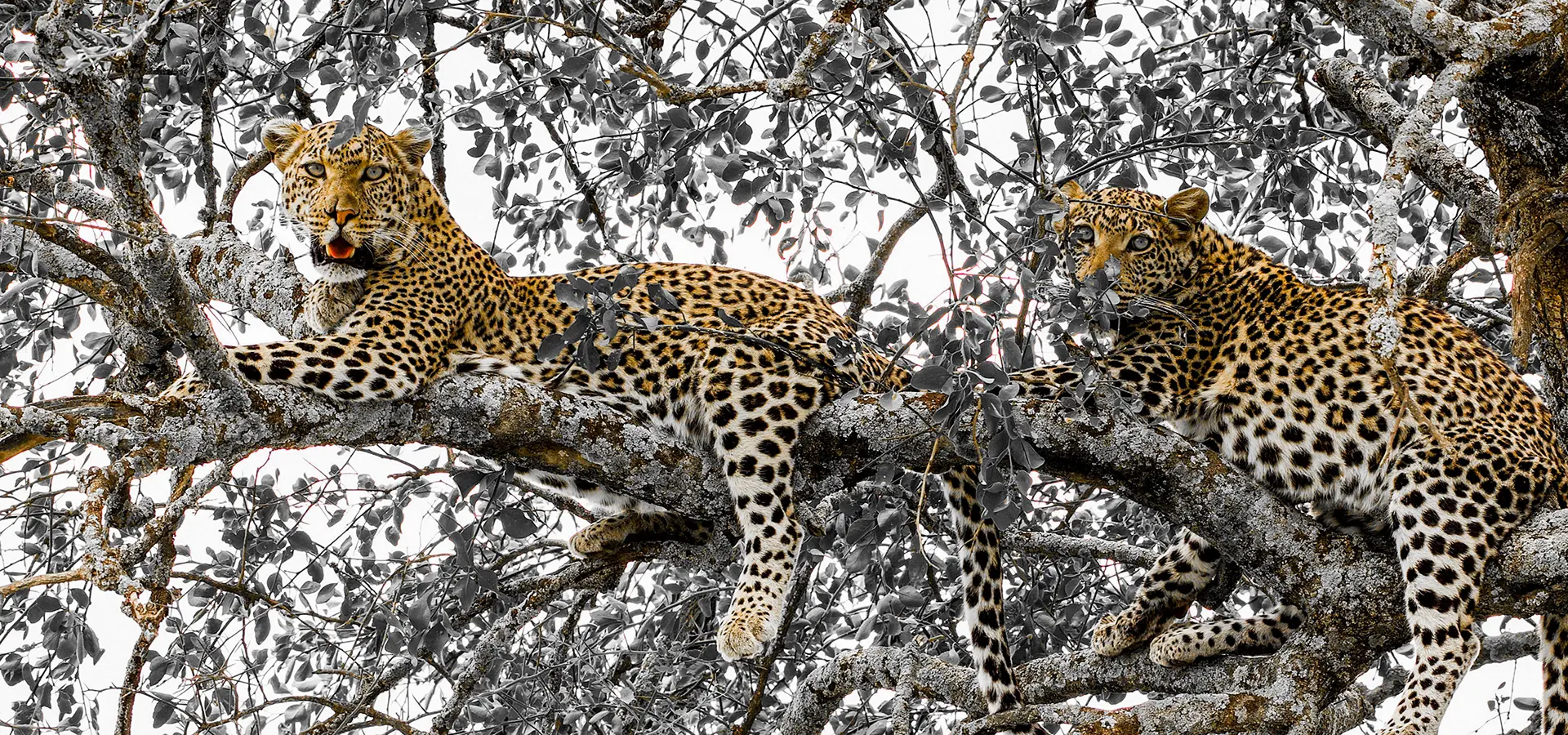 Day 2: Tarangire National Park