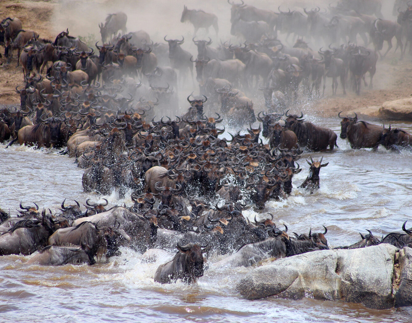 Day 5: Central Serengeti to Northern Serengeti